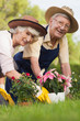 Retired couple gardening together and smiling portrait