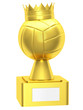 Volley ball with the cup