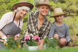 Three generations of women gardening portrait