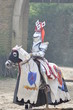 chevalier du puy du fou 