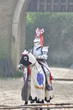 chevalier du puy du fou 