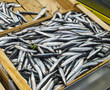 Anchovies
