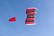 Winter kite
