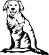 dog and cat silhouette