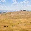 Photo: Country in Tuscany Country in Tuscany