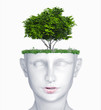 Illustration: head with tree head with tree