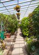 Photo: Greenhouse interior Greenhouse interior