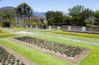 Photo: Villa Taranto garden Villa Taranto garden