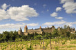la cité de Carcassonne