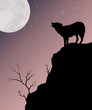 Wolf Howling at the Moon