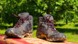 Pair of muddy boots