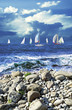 sailing regatta