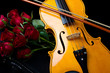 Violin on carry case