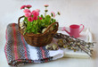 Easter still life with pink daisies and willow branches