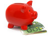sparschwein mit euro