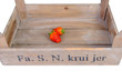 zwei Erdbeeren in einer Obstkiste