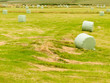 Photo : Harvesting cut grass for hay plastic wrapped bales Harvesting cut grass for hay plastic wrapped bales