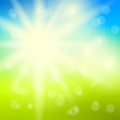 blendende sonnenstrahlen I