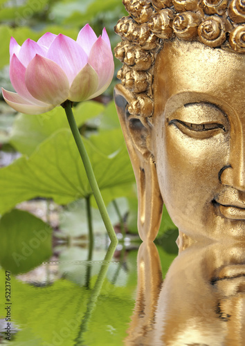Fototapeta Bouddha et fleur sacrée de lotus rose