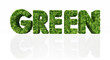 Illustration: green word full of grass and flowers green word full of grass and flowers