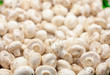 mushrooms