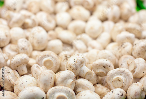 Photo: mushrooms mushrooms