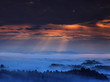 sun rays and fog