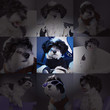 Hunde Collage witzig Spot