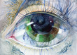 painting of beautiful human eye