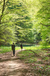 Hike in deep forest