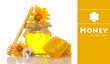 Jar of honey and honeycombs isolated on white