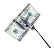 Banknotes on fork isolated on white