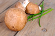 braune Champignons