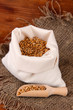 Grains in sack on wooden background