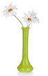 Foto: Beautiful daisies in colorful vase isolated on white Beautiful daisies in colorful vase isolated on white