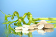 Photo: Still life with green bamboo plant and stones, Still life with green bamboo plant and stones,