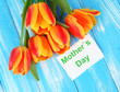 Beautiful orange tulips on color wooden background