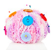 Colorful buttons and wool ball, isolated on white