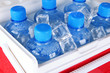 Bottles of water and ice cubes in traveling refrigerator, close