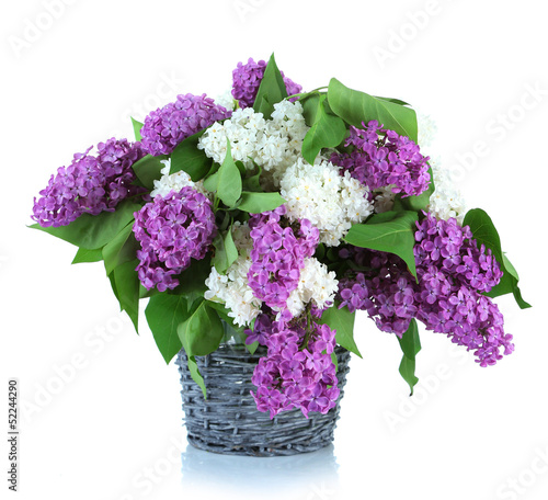 Photo: Beautiful lilac flowers in wicker vase, isolated on white Beautiful lilac flowers in wicker vase, isolated on white