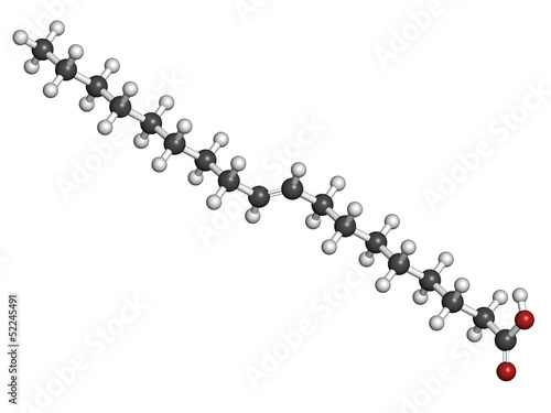Illustration: Elaidic acid trans fatty acid, molecular model Elaidic acid trans fatty acid, molecular model
