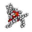 Lipid A bacterial endotoxin, molecular model
