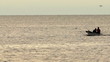 Sea love
