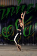 Dance style