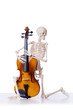 Skeleton playing violin isolated on the white