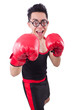 Funny boxer isolated on the white background