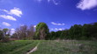 Video: blue sky with clouds and the wood. Time lapse blue sky with clouds and the wood. Time lapse