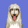 Irish Wolfhound