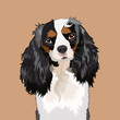 Cavalier King Charles Spaniel