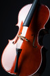 Violin on the black background